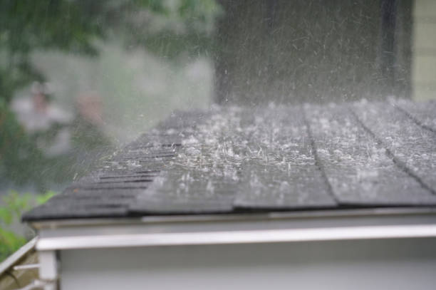 Best Gutter Installation and Repair  in Monroeville, PA